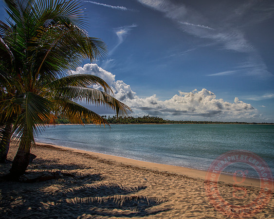 Soothing Beach