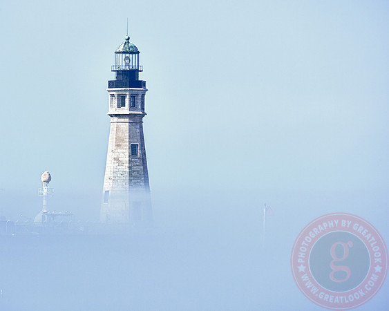 The Fog