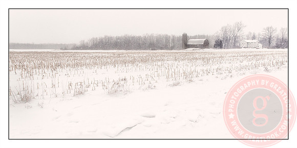 Waiting For Spring