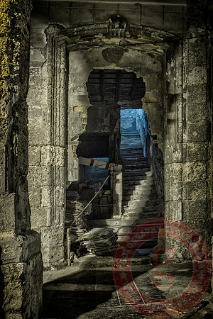 Tomb Raider