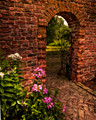 The Arch