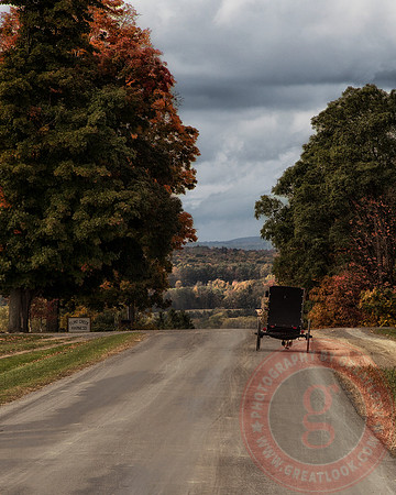 Autumn Stroll