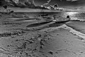 Fishing Boats