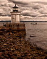 Bug Light