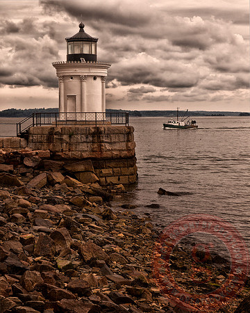 Bug Light