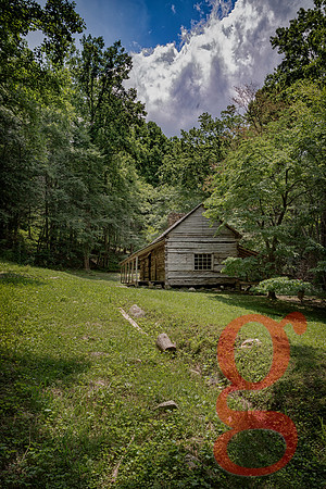 The Cabin in the Woods