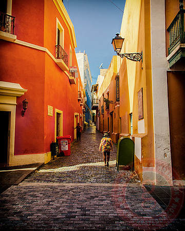 Orange Alley