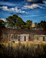 Rusted and Rustic