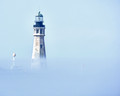 The Fog